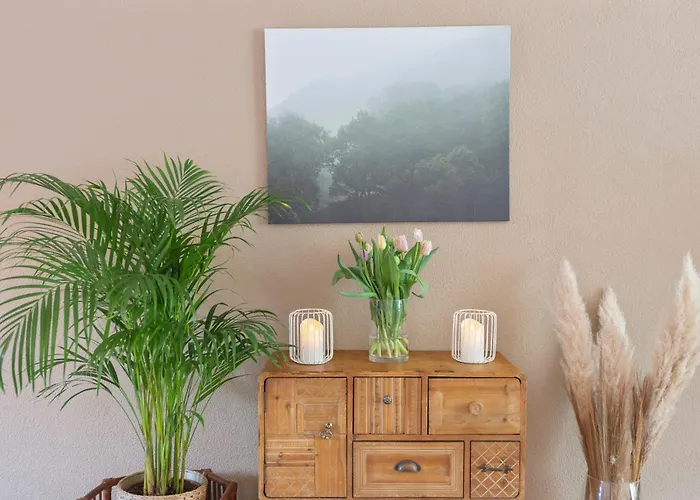 Le Paysan * Вейк-ан-Зее